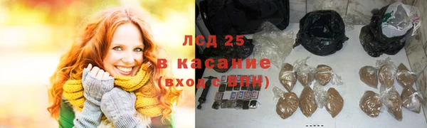 шишки Алзамай