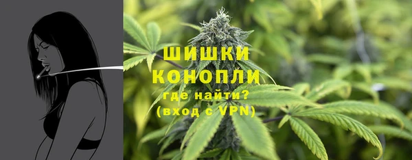шишки Алзамай