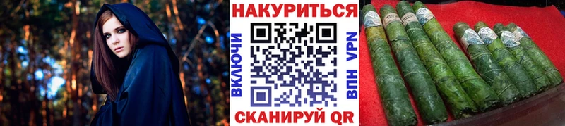 Каннабис план  Камызяк 